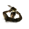 The Cannibal