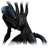 The Xenomorph