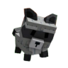 Raccoon