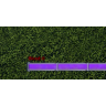 Blood